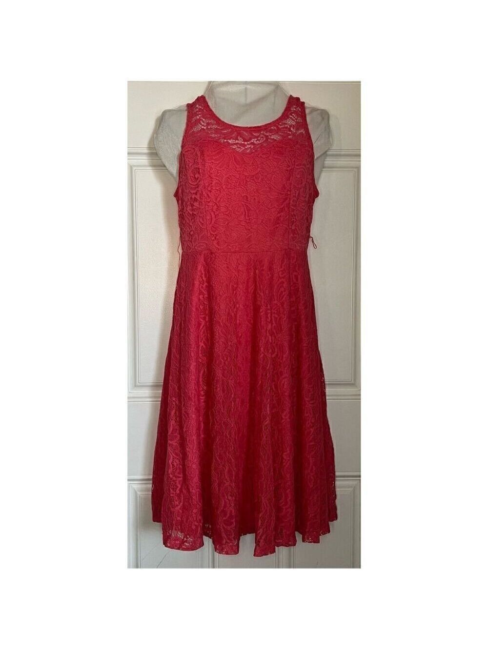 PinkBlush Lace Overlay Fit and Flare Dress (sz S)